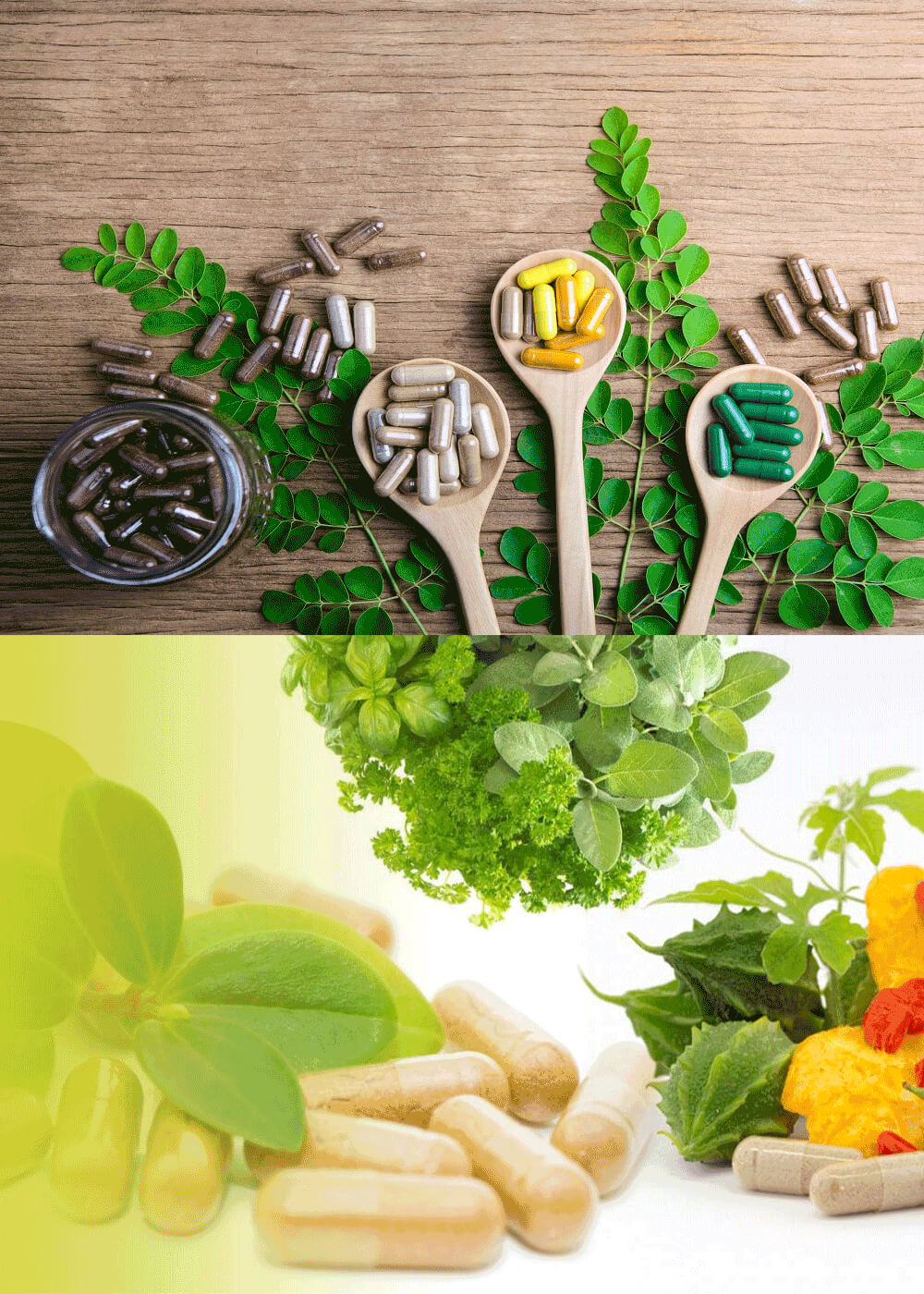 Nutraceuticals Trimaya Health Care