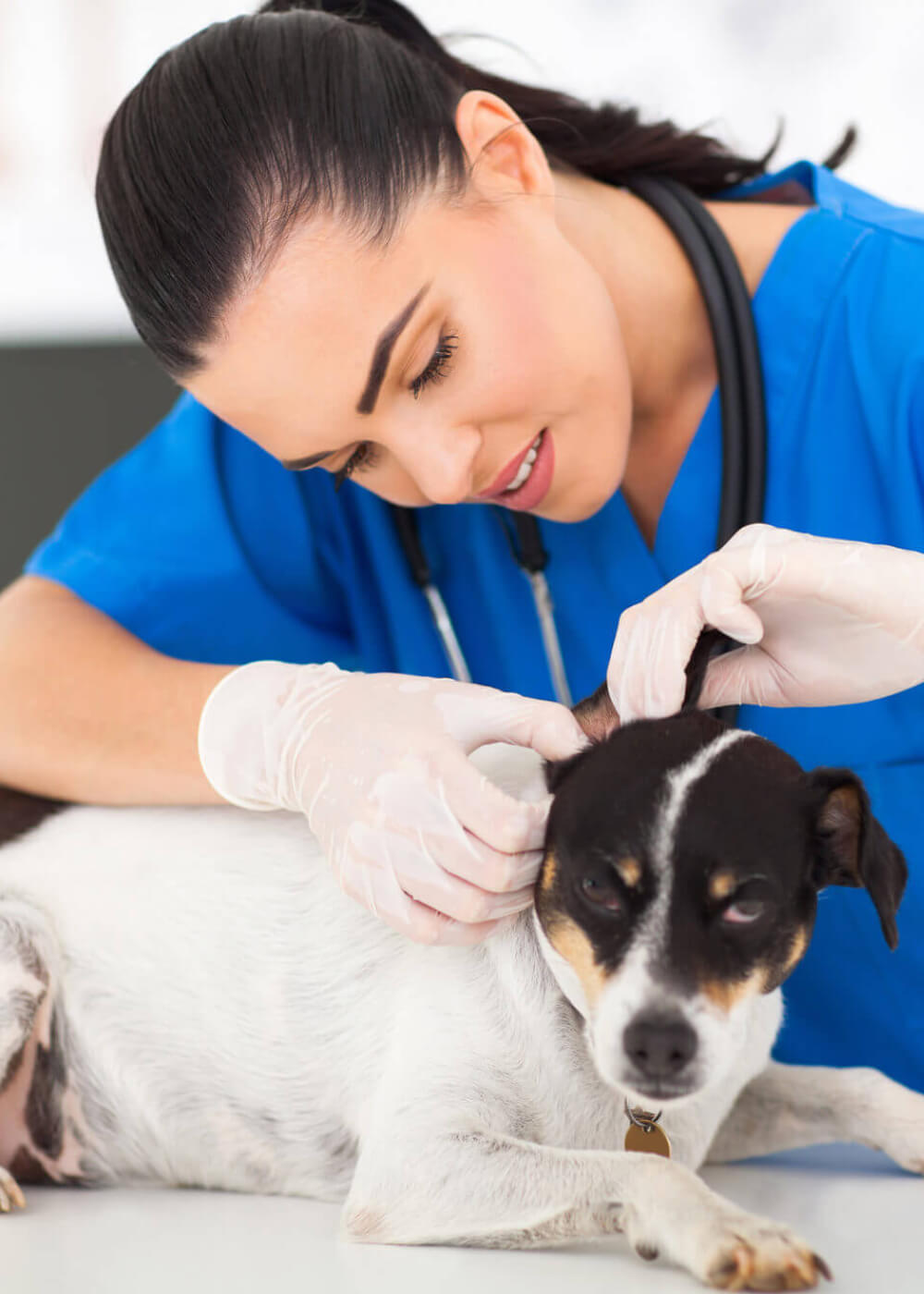 Veterinary Trimaya Health Care